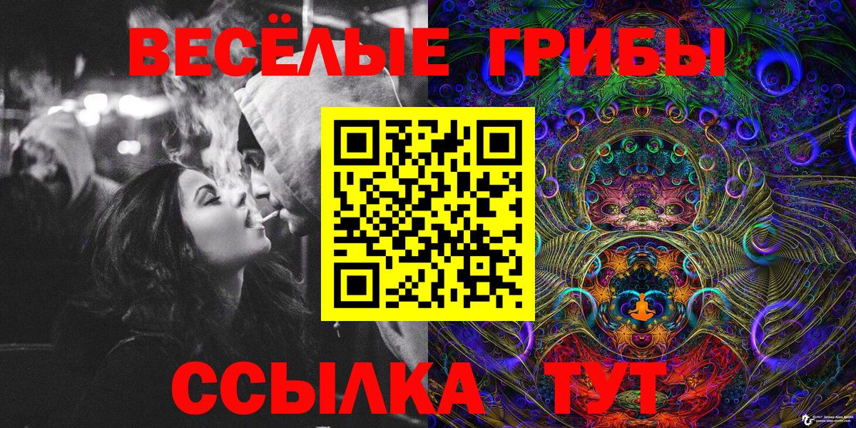 Псилоцибиновые грибы Psilocybe Йошкар-Ола